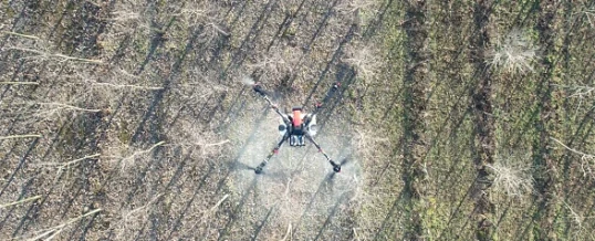 Primena XAG dronova u jesenjoj zaštiti zasada